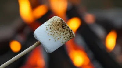 Illustration scorch - Image 1