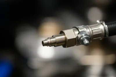 Illustration nipple - Image 1