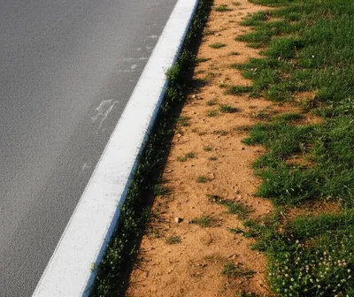 Illustration walk - Image 1