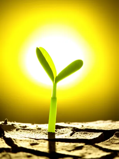 Illustration potency - Image 1