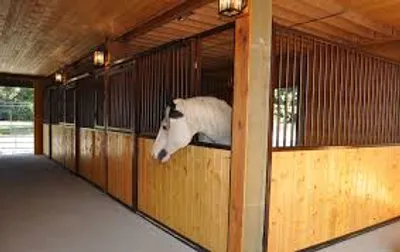 Illustration standing - Image 3