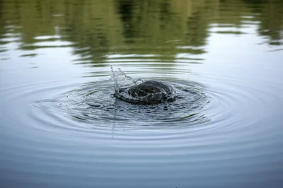 Illustration upsets - Image 1