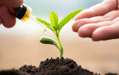 Illustration anoint - Image 1