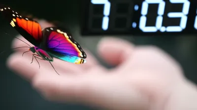 Illustration snatches - Image 1