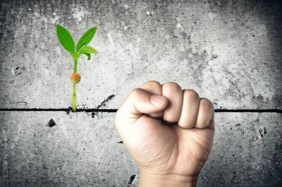 Hình ảnh minh họa radicalizing - Ảnh 1