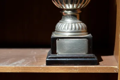 Illustration tarnished - Image 1