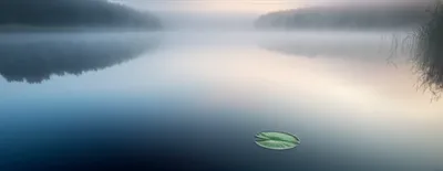 Illustration quiescence - Image 1