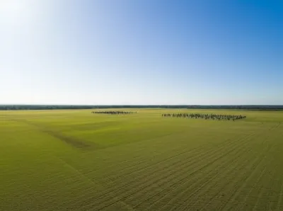 Illustration grinder - Image 1