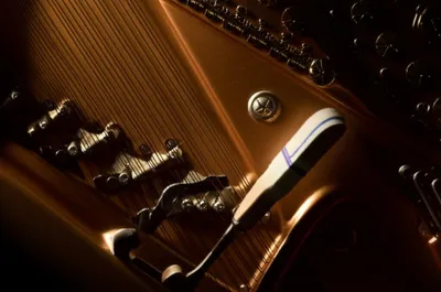 Illustration actions - Image 1