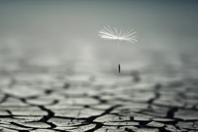 Illustration breaths - Image 1