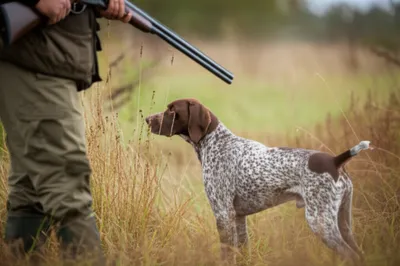 Illustration set - Image 1