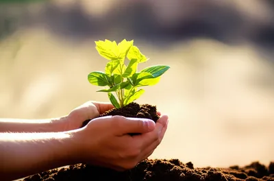 Illustration having - Image 1