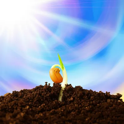 Illustration potentiality