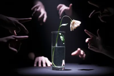 Illustration imputed - Image 1