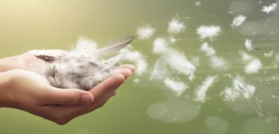 Illustration drive - Image 1