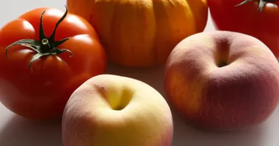 Illustration flat - Image 1