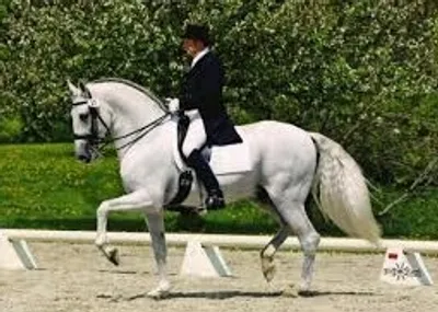 Illustration passage - Image 2