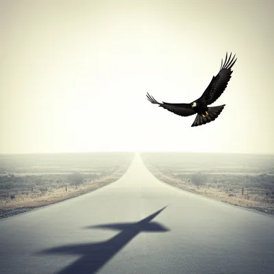 Illustration forecast - Image 1