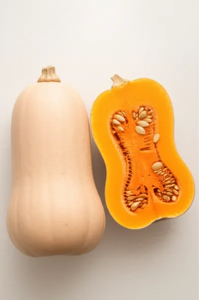 Illustration butternut - Image 1