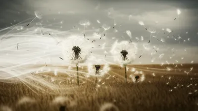 Illustration brute - Image 1