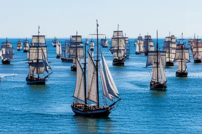 Illustration command - Image 1