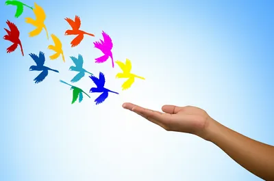 Illustration allowing - Image 1