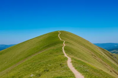 Illustration mount - Image 1