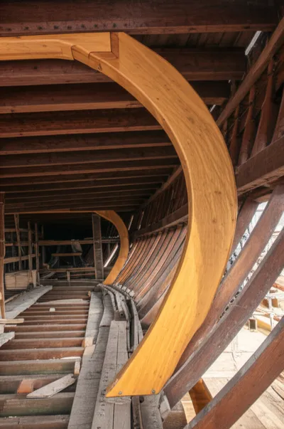 Hình ảnh minh họa sp - Ảnh 1