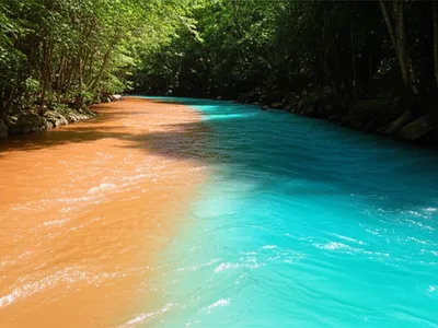 Illustration unified - Image 1