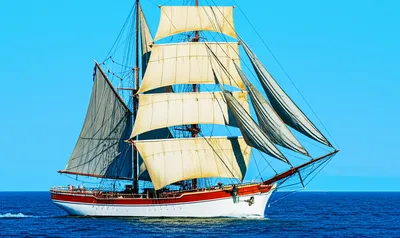 Illustration sails - Image 1