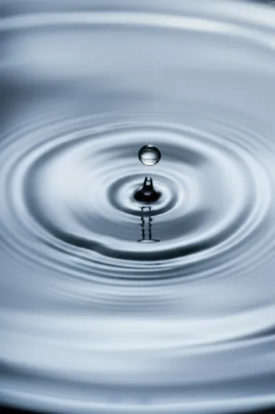 Illustration contaminated - Image 1