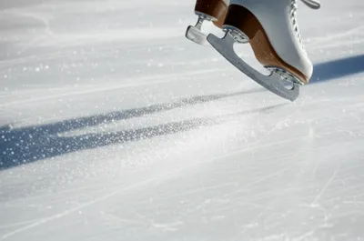 Illustration skate - Image 1