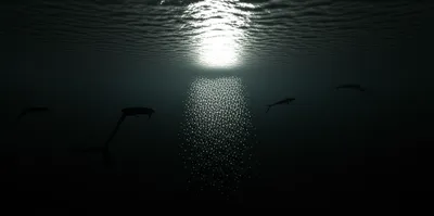 Illustration depths - Image 1