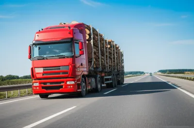 Illustration semi - Image 1