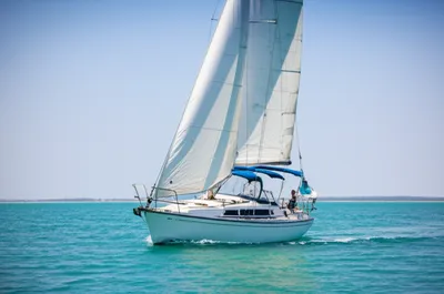 Illustration reaching - Image 1