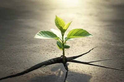 Illustration vectors - Image 1