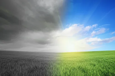 Illustration brightened - Image 1