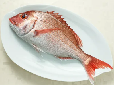 Hình ảnh minh họa tai