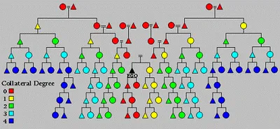 Illustration collateral - Image 2