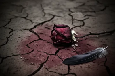 Illustration dost - Image 1