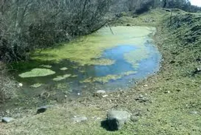 Illustration stagnant - Image 2