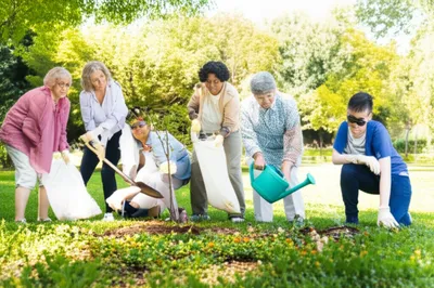 Illustration served - Image 1