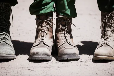 Illustration spec - Image 1