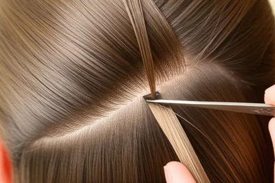 Illustration weft - Image 1