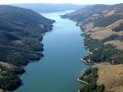 Hình ảnh minh họa ria - Ảnh 1