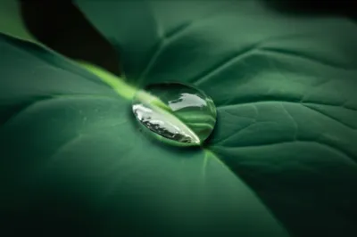 Illustration pool - Image 1