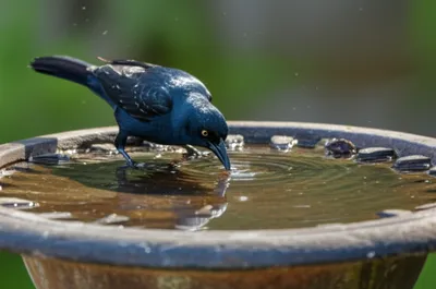 Illustration tinkling - Image 1