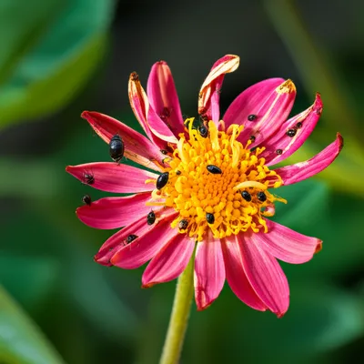 Illustration attacked - Image 1