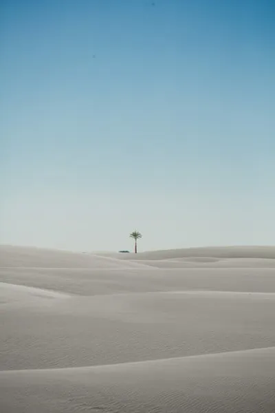 Illustration mirages - Image 2