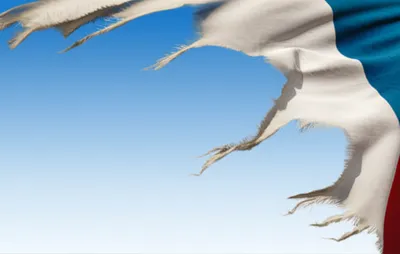 Illustration flys - Image 1